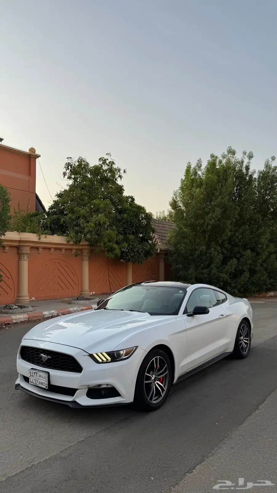موستنج 2016 0