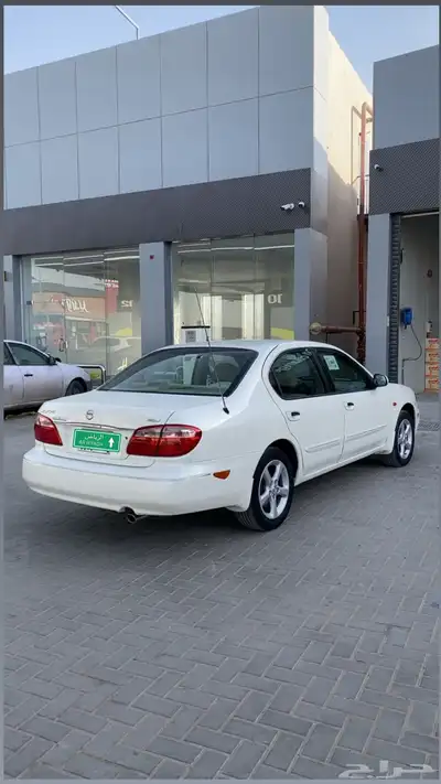 مكسيما 2008 8