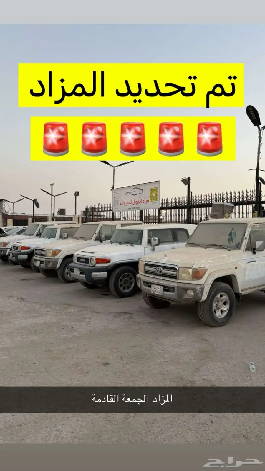 ربع عدد كبير من جيب الربع مبيعات حكوميه 7
