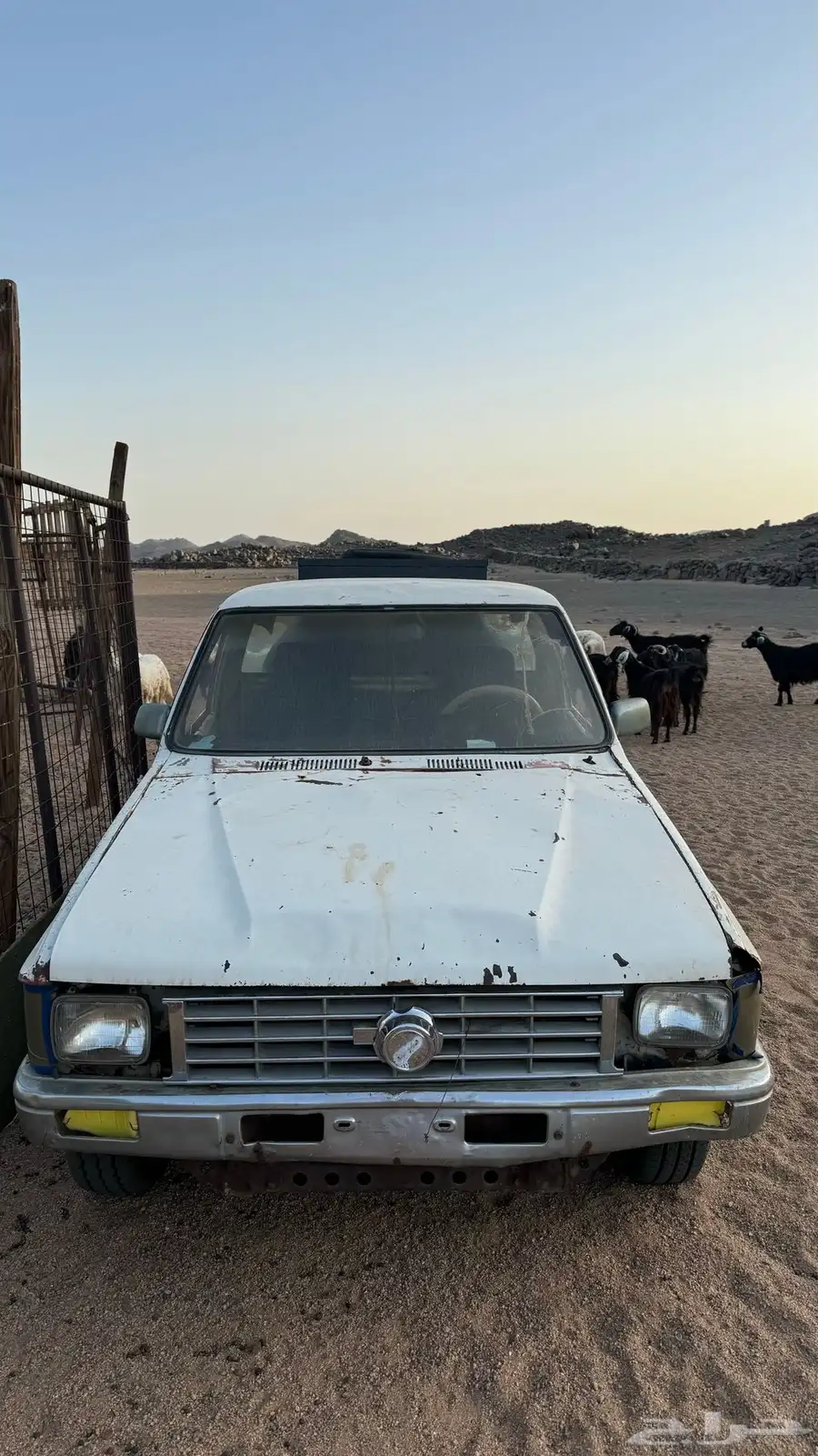 هايلوكس وايت موديل 84 1