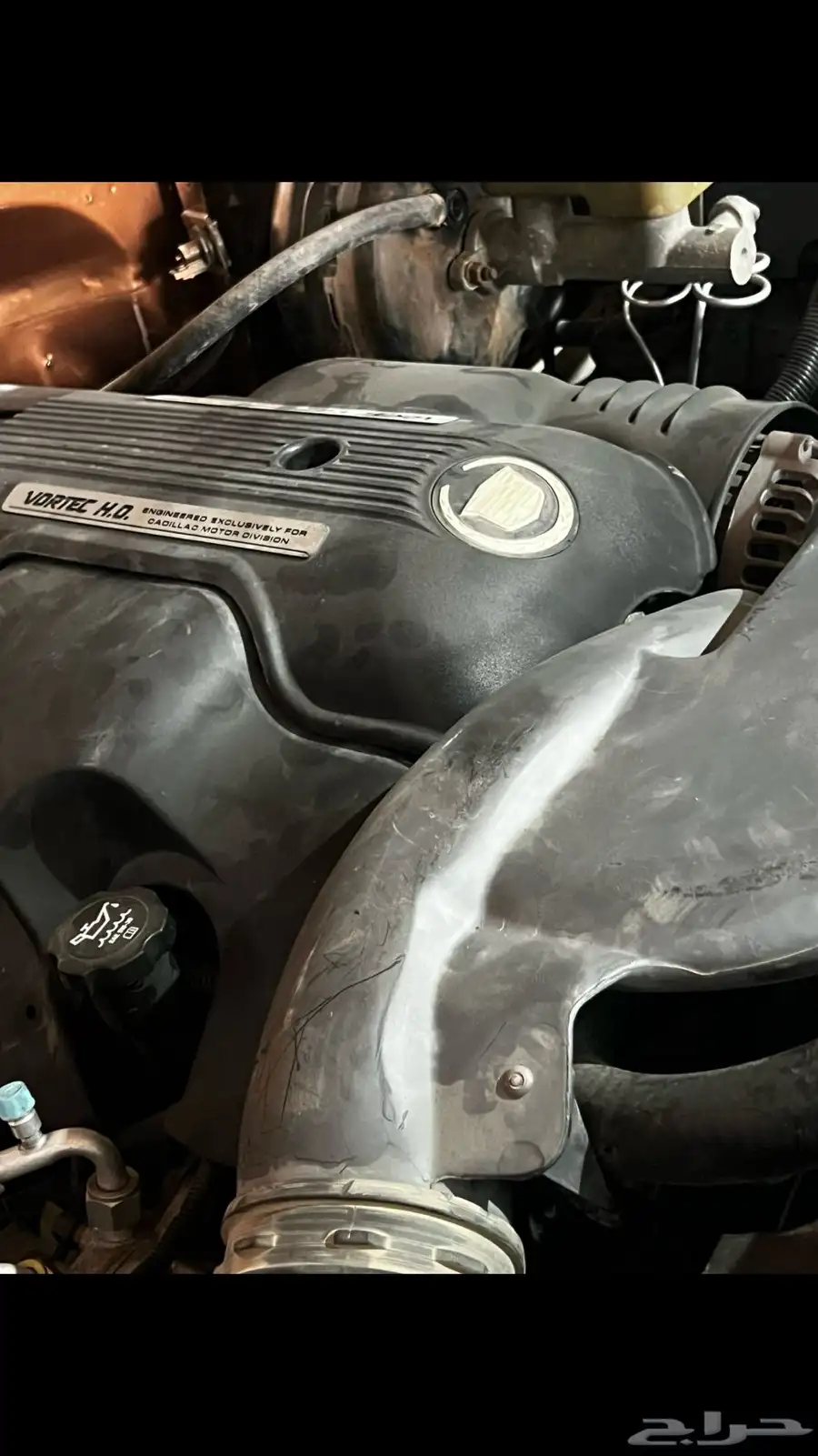 ونيت C10 الخبر 6