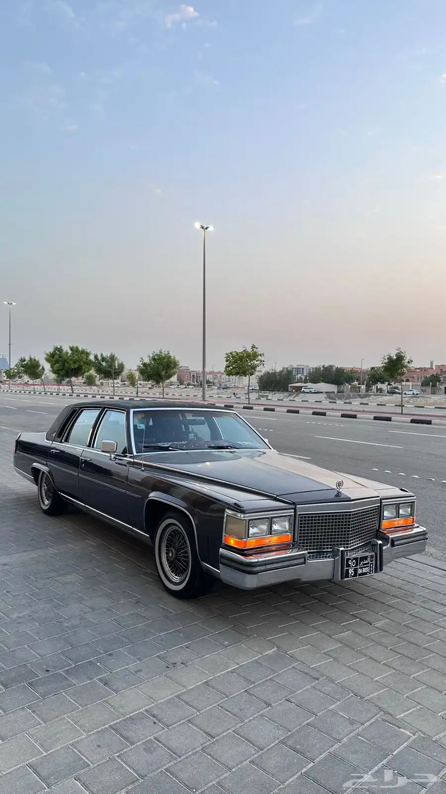 كاديلاك فيلتوود 31