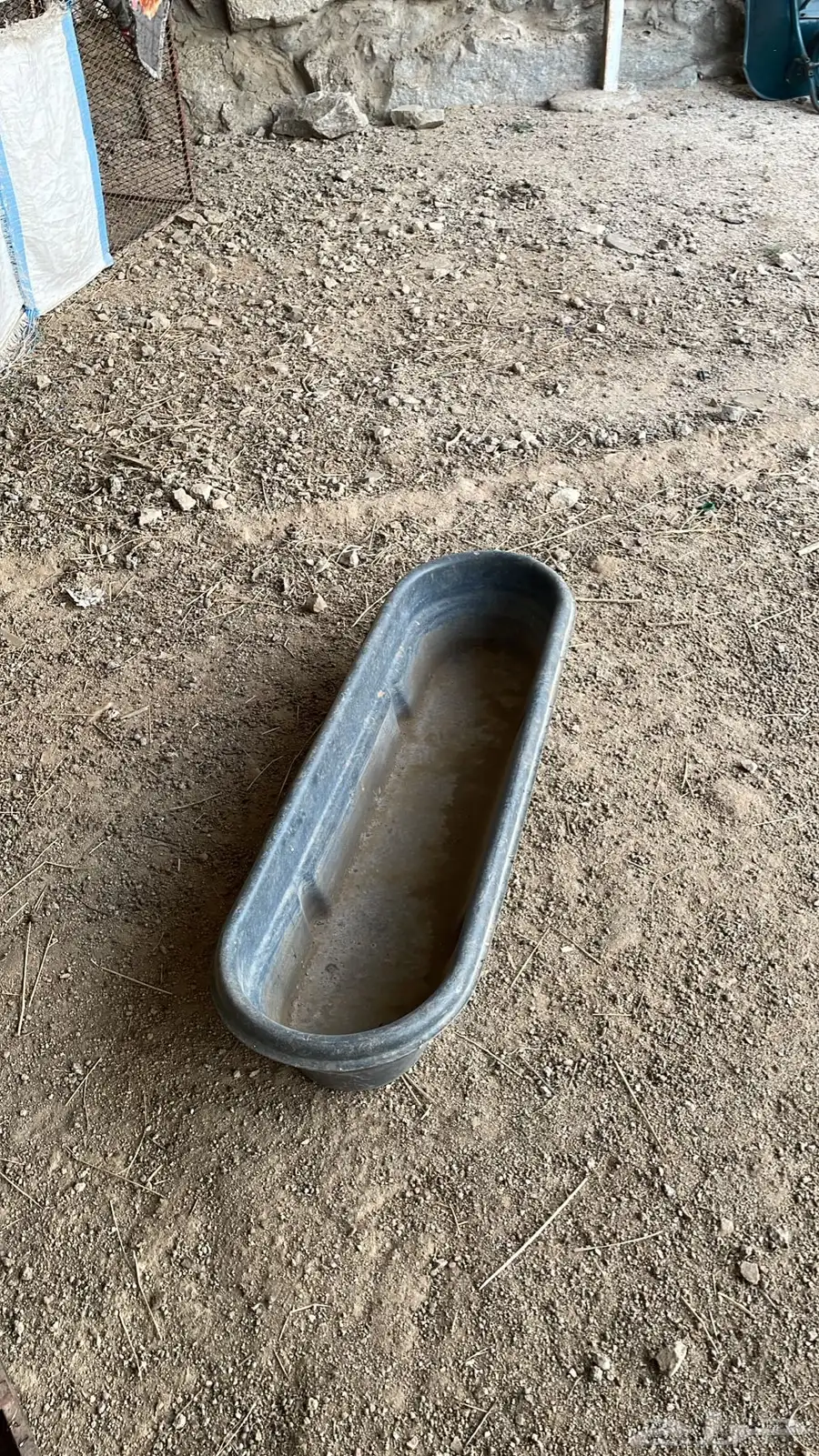 بيت شعر وشبوك 6