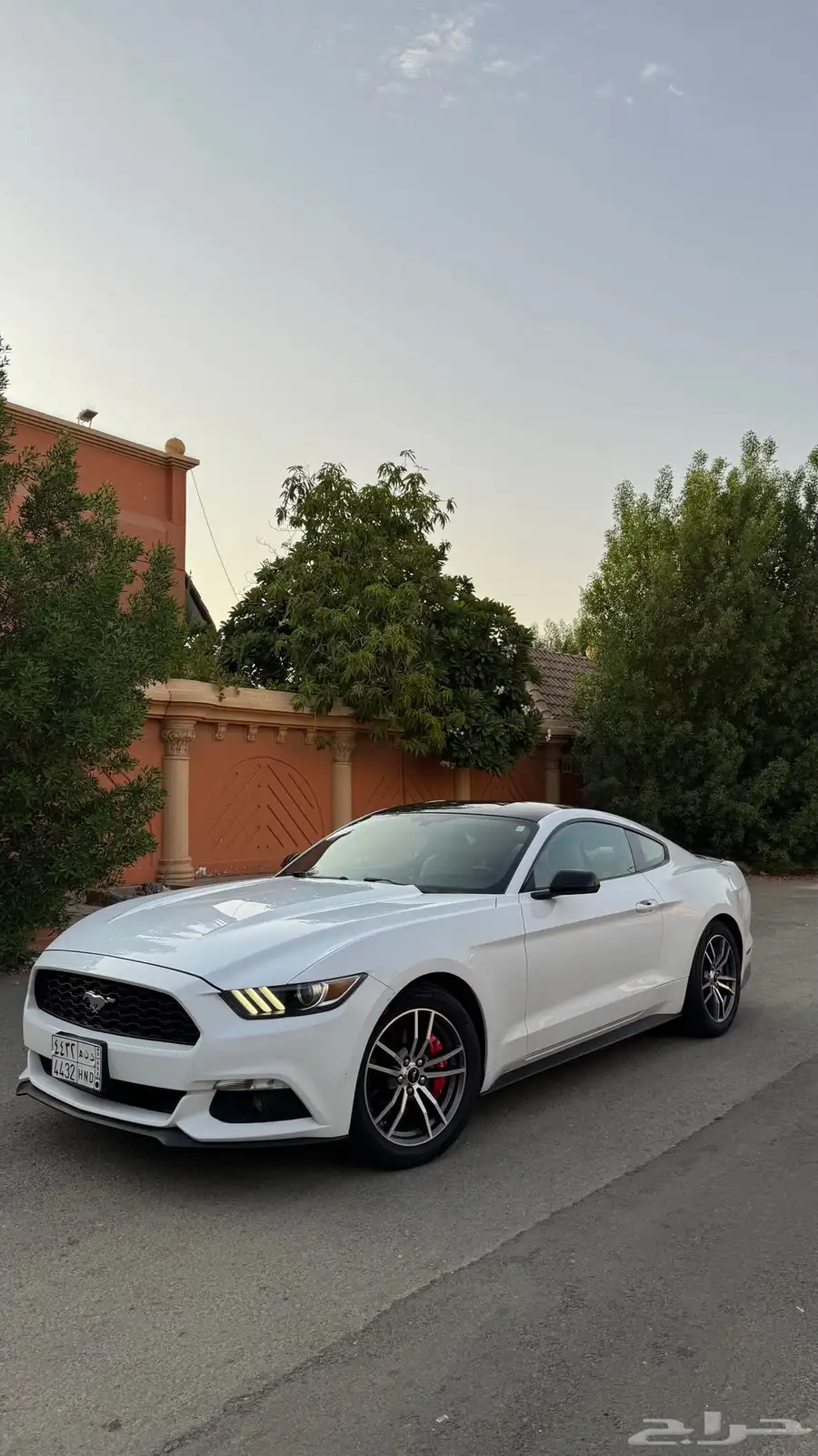 موستنج 2016 11
