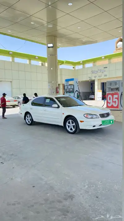 مكسيما 2008 7