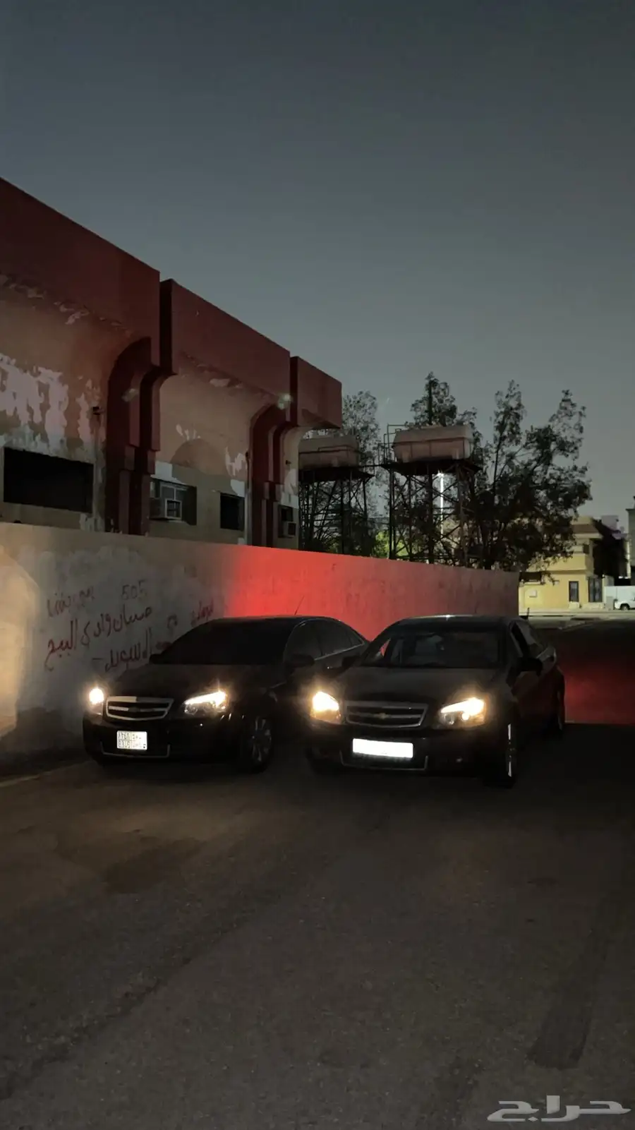 كابرس للبيع 1