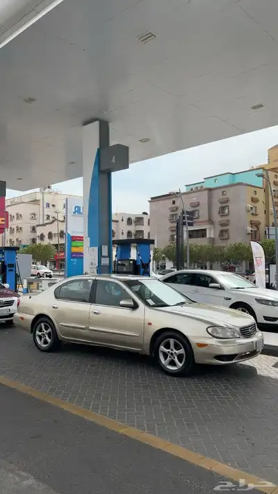 مكسيما للبيع او البدل قير عادي 14