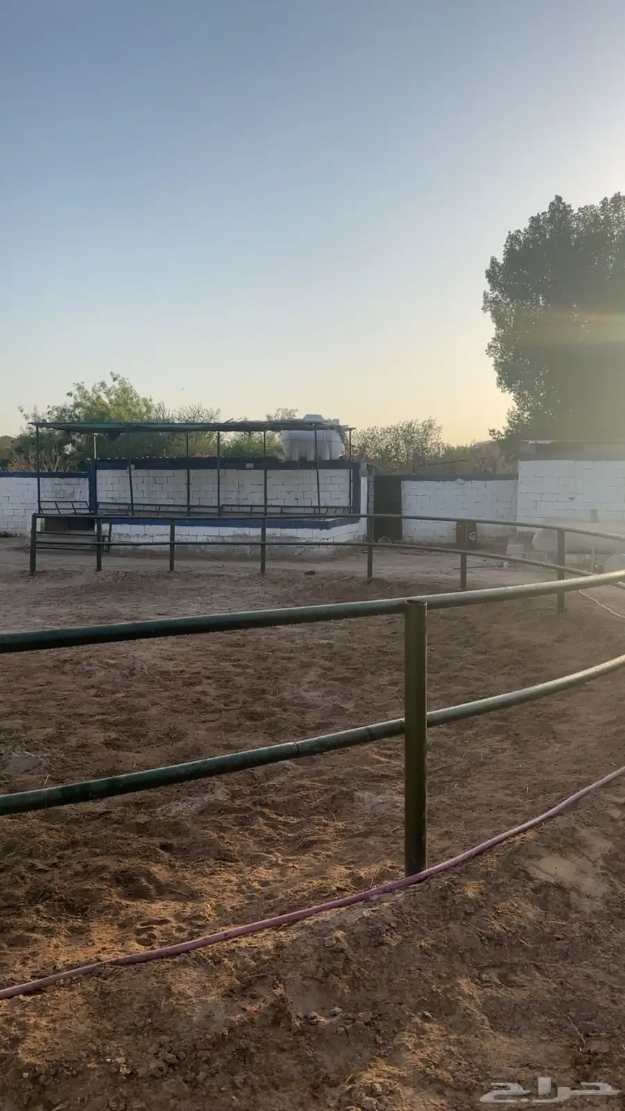 إيواء  تدريب ركوب الخيل 0