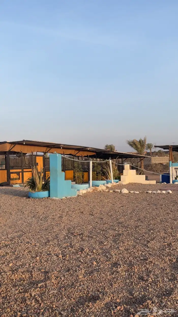 مربط واسطبلات الراحة 3