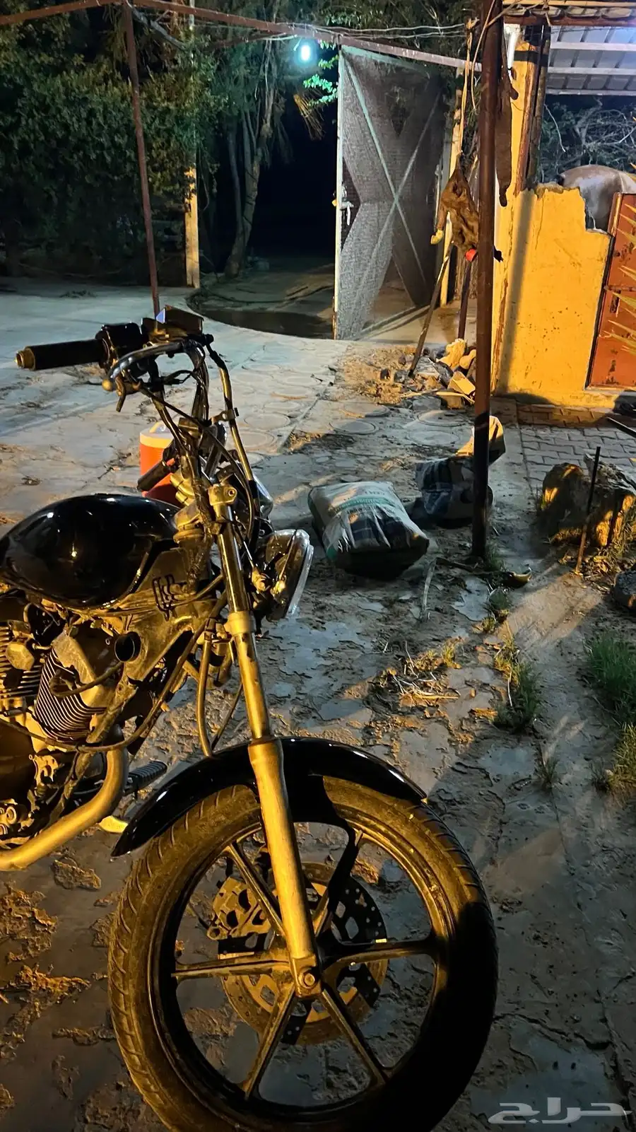 دباب هارلي 3