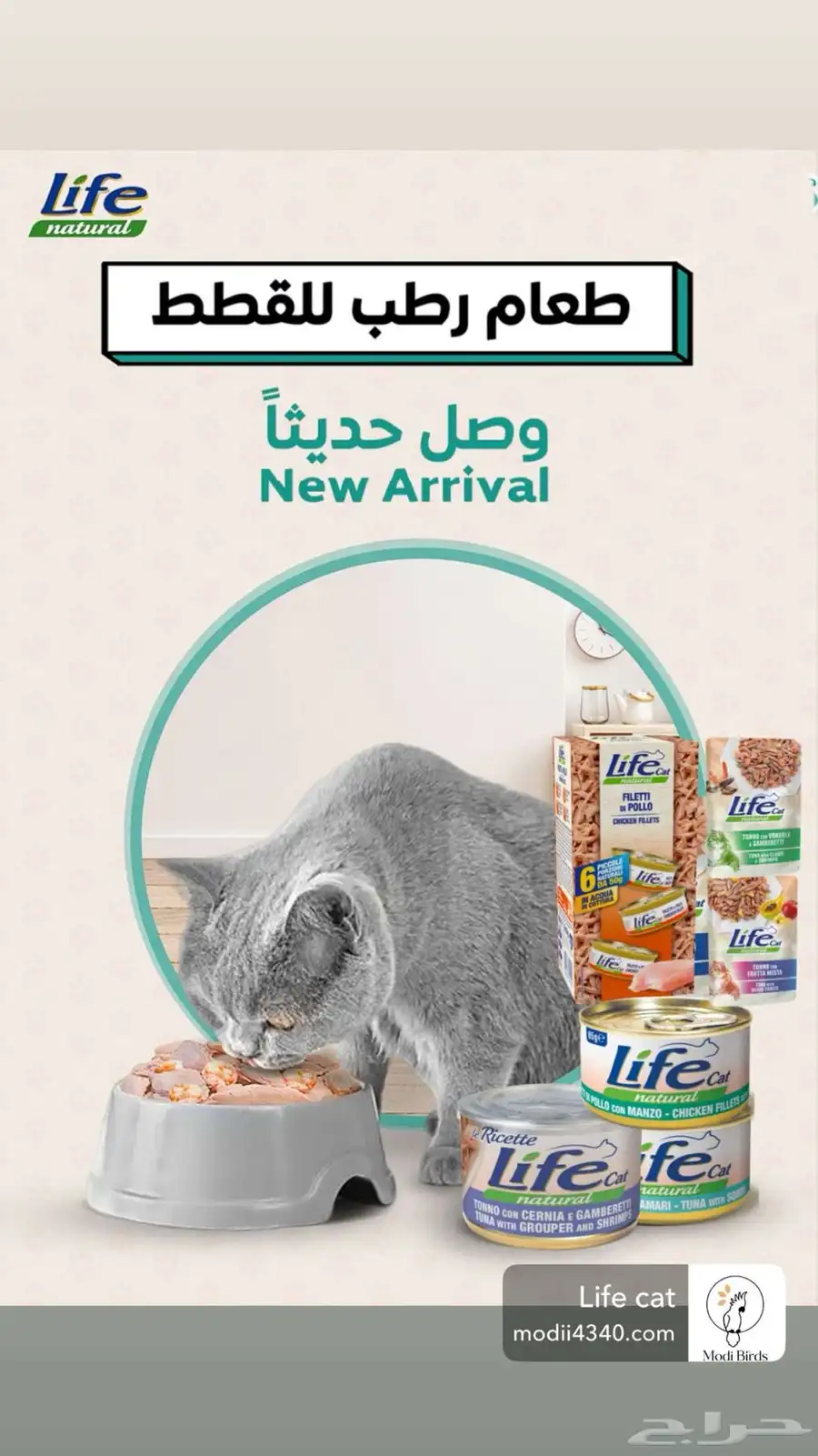 متجر Modi Birds مودي للحيوانات الاليفة 0