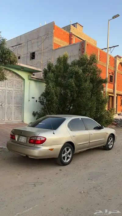 مكسيما للبيع او البدل قير عادي 20