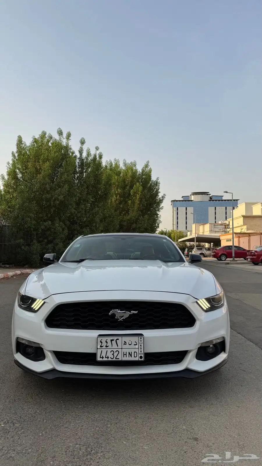 موستنج 2016 9