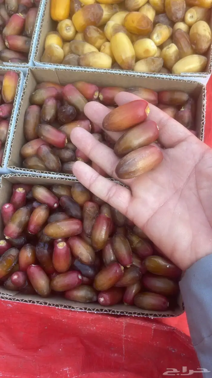 خرفه 0