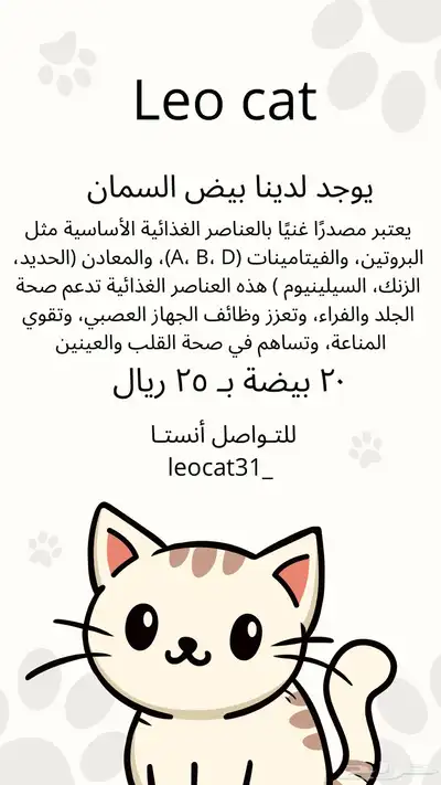 وجبات قطط صحيه صنع منزلي 3