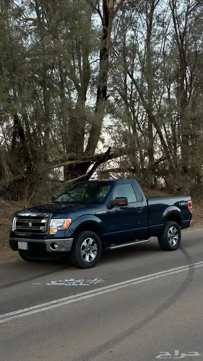 فورد f150 2
