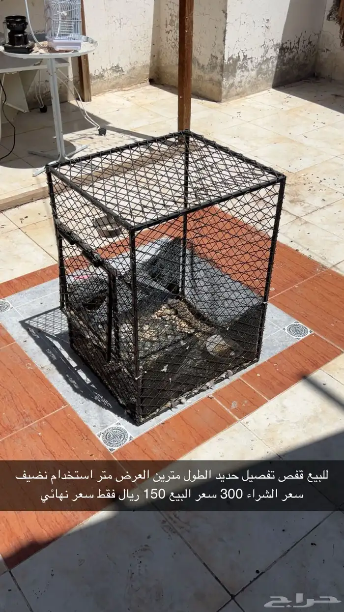اقفاص ببغاء للبيع 4