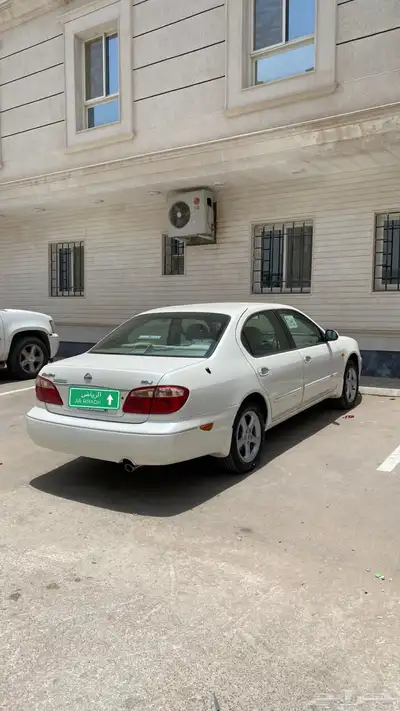 مكسيما 2008 4
