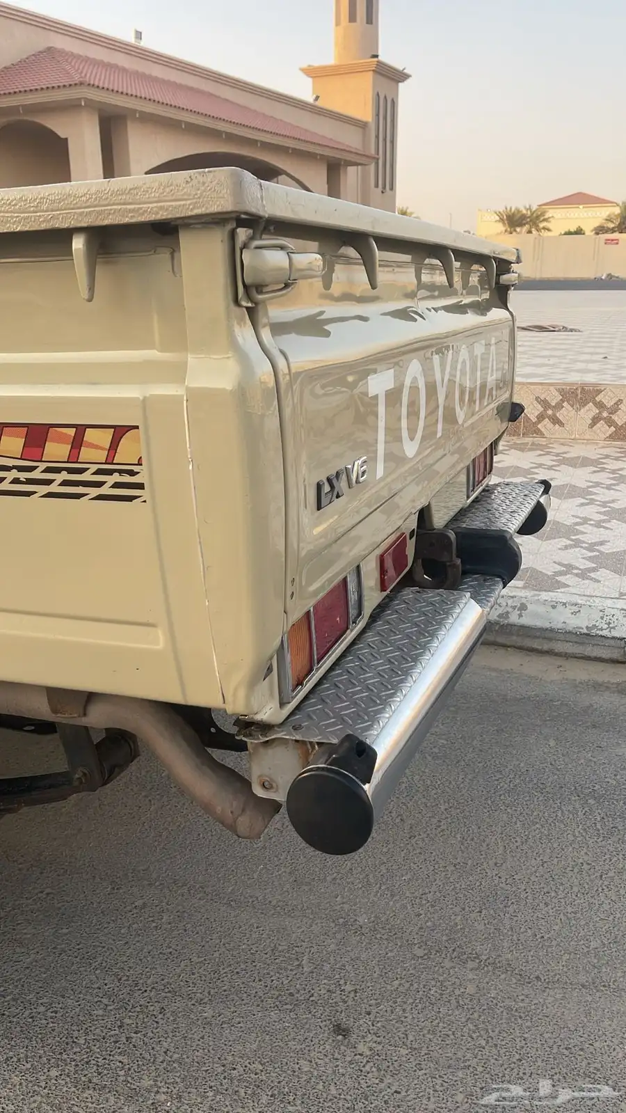 للبيع شاص سلق 10