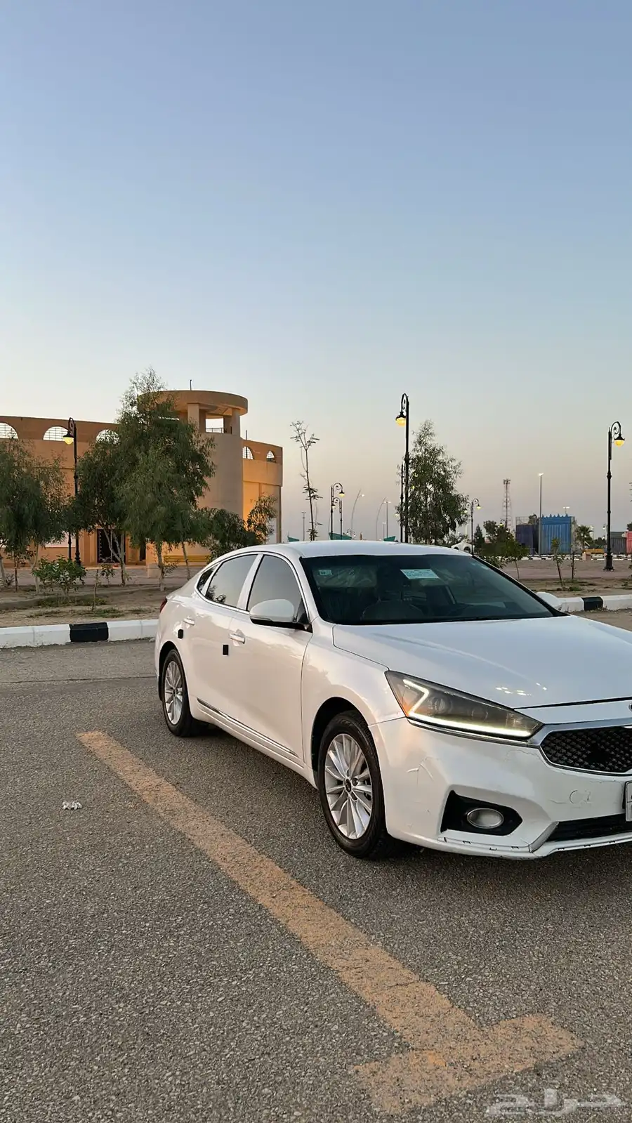 كادينزا 2017 0