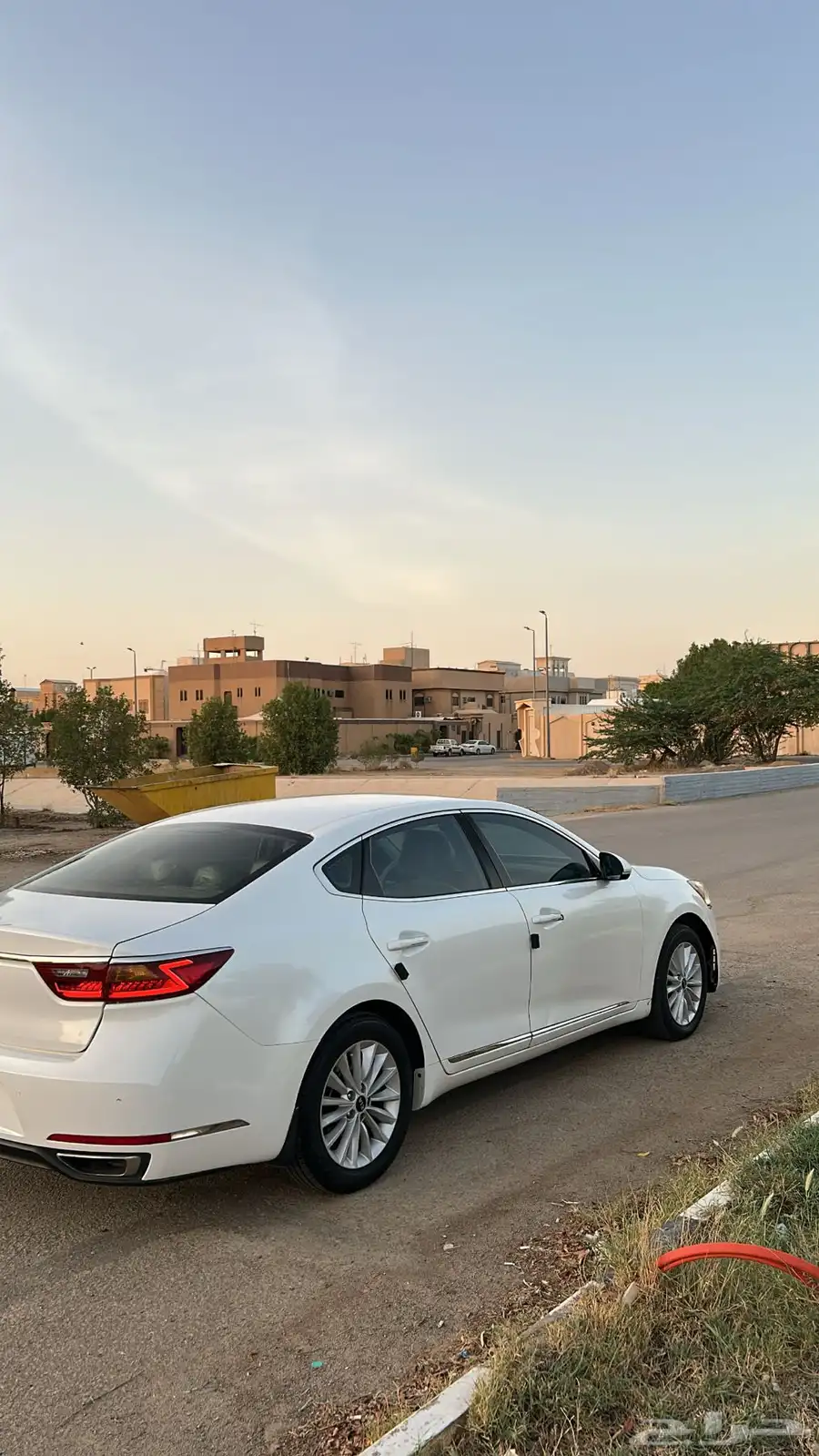 كادينزا 2017 12