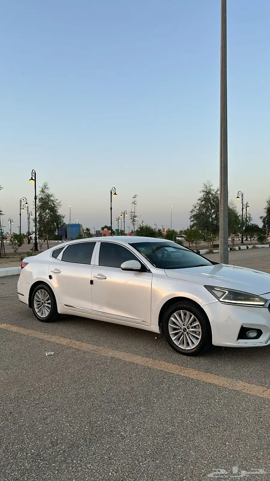 كادينزا 2017 2