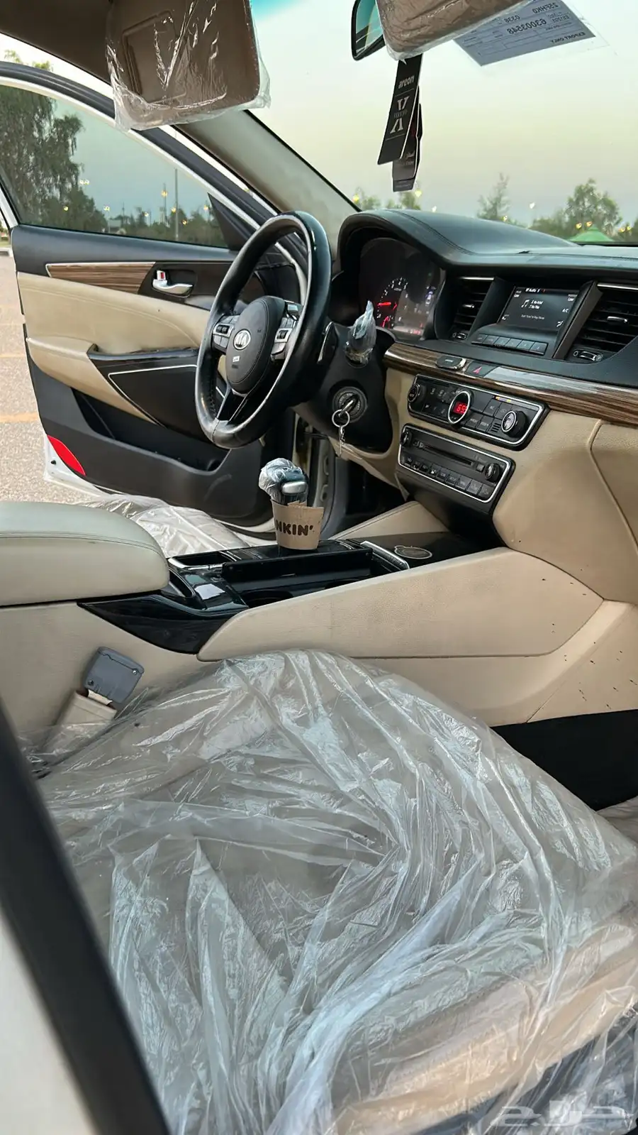كادينزا 2017 8