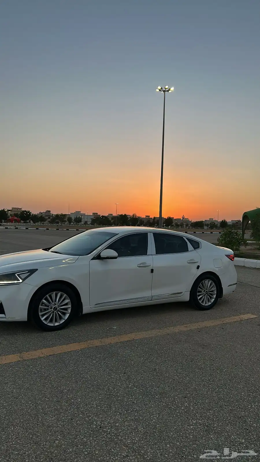 كادينزا 2017 5