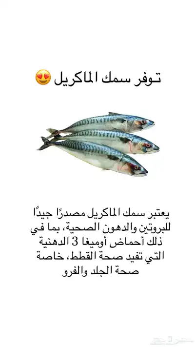 وجبات قطط صحيه صنع منزلي 2