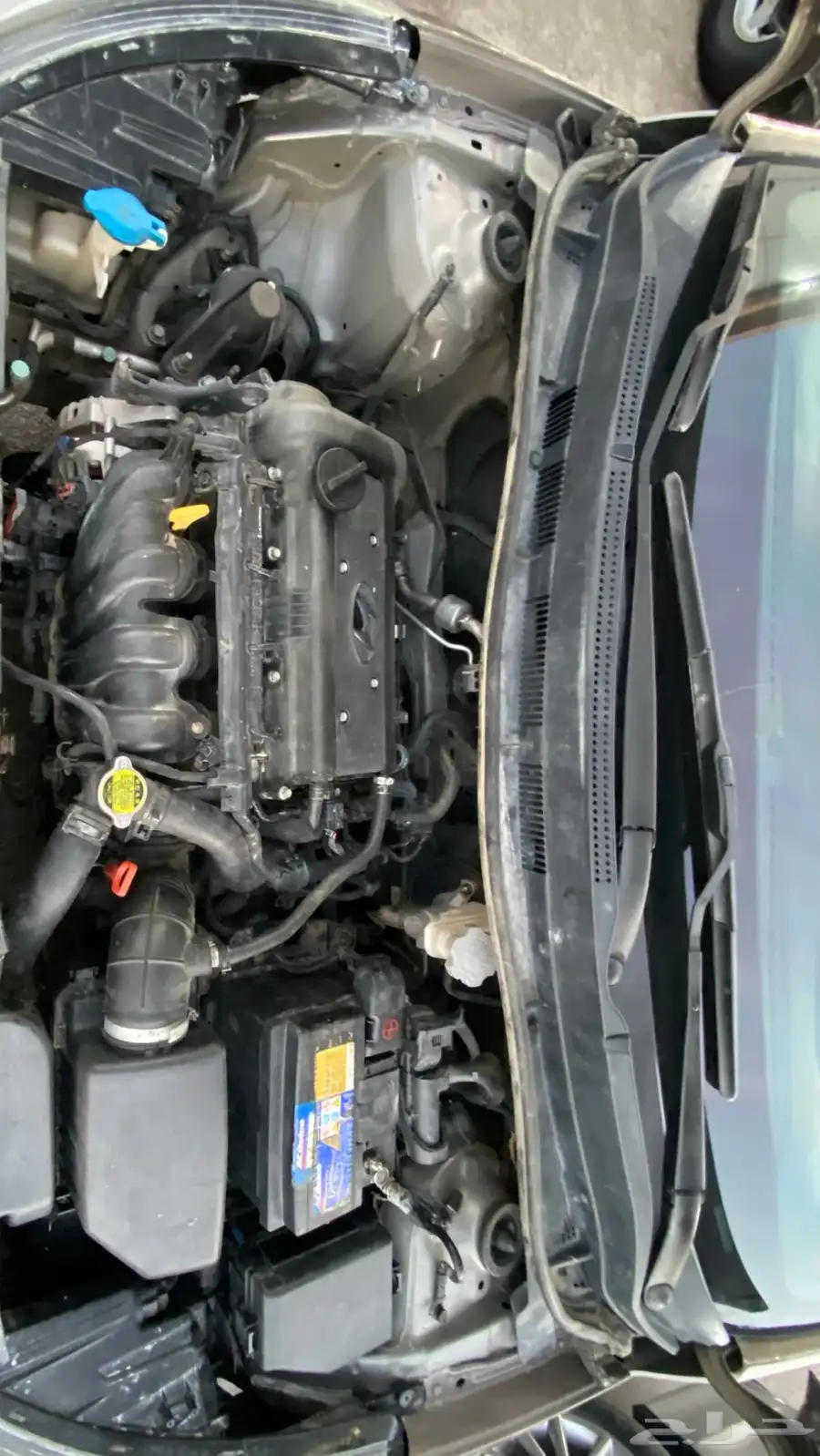 Accent automatic 6