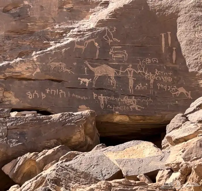 مرشد سياحي الربع الخالي نجران 14