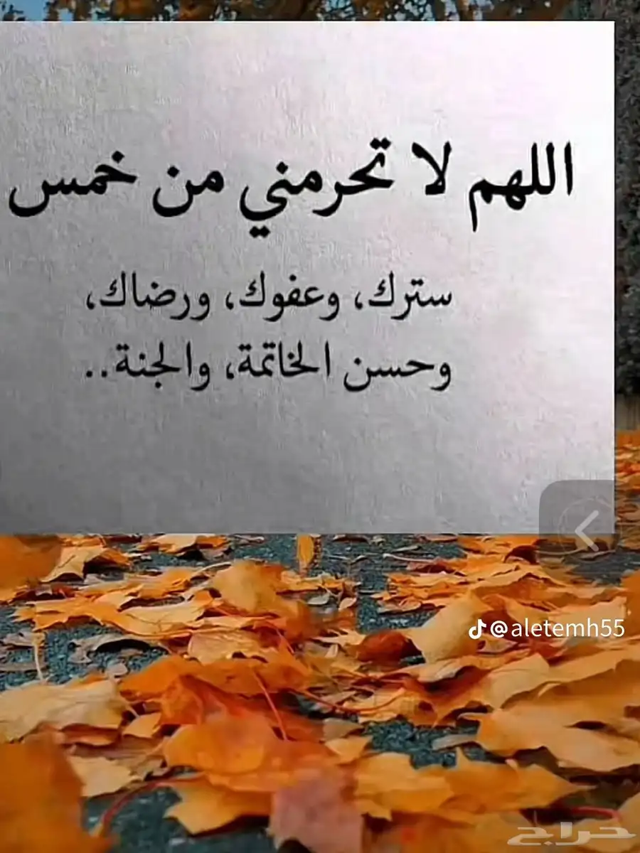 ضروبه للبيع على جميع الشروط 0