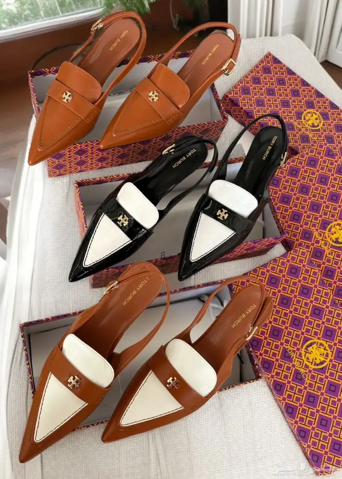 هيلزات توري بورش وقوتشي 6