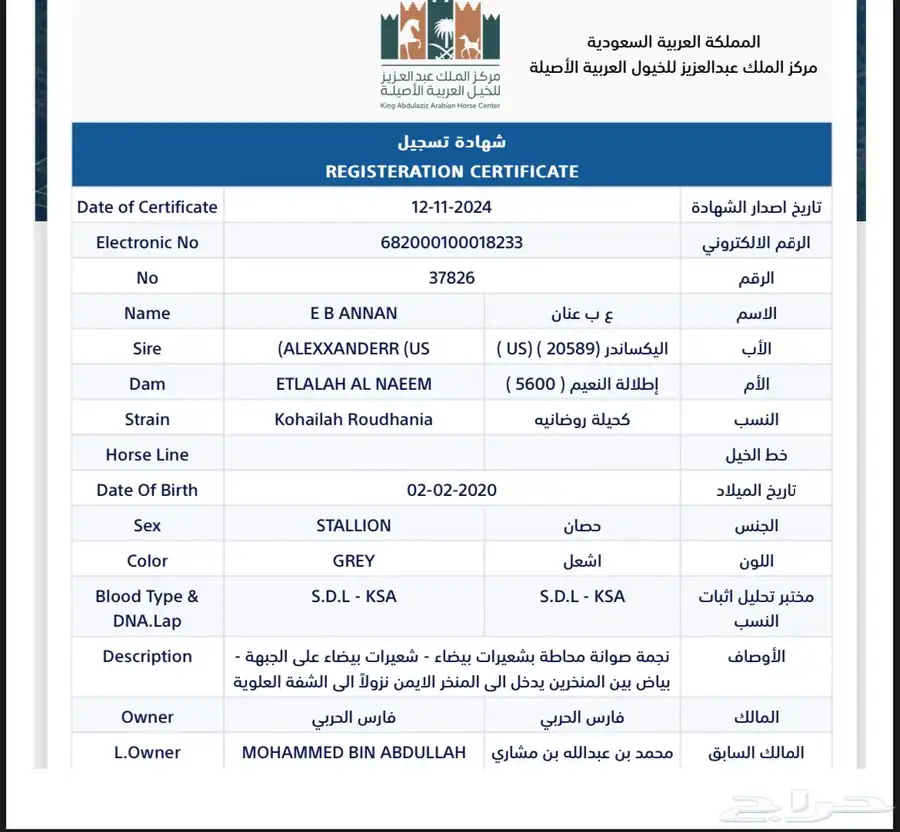 حصان واهو 3