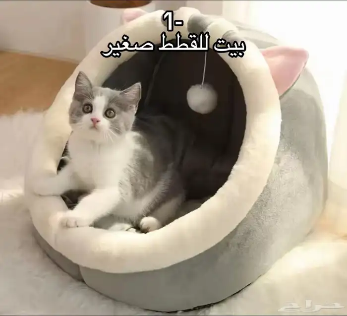 بكج القطط سعر جملة توصيل مجاني الى جميع مناطق المملكة 1