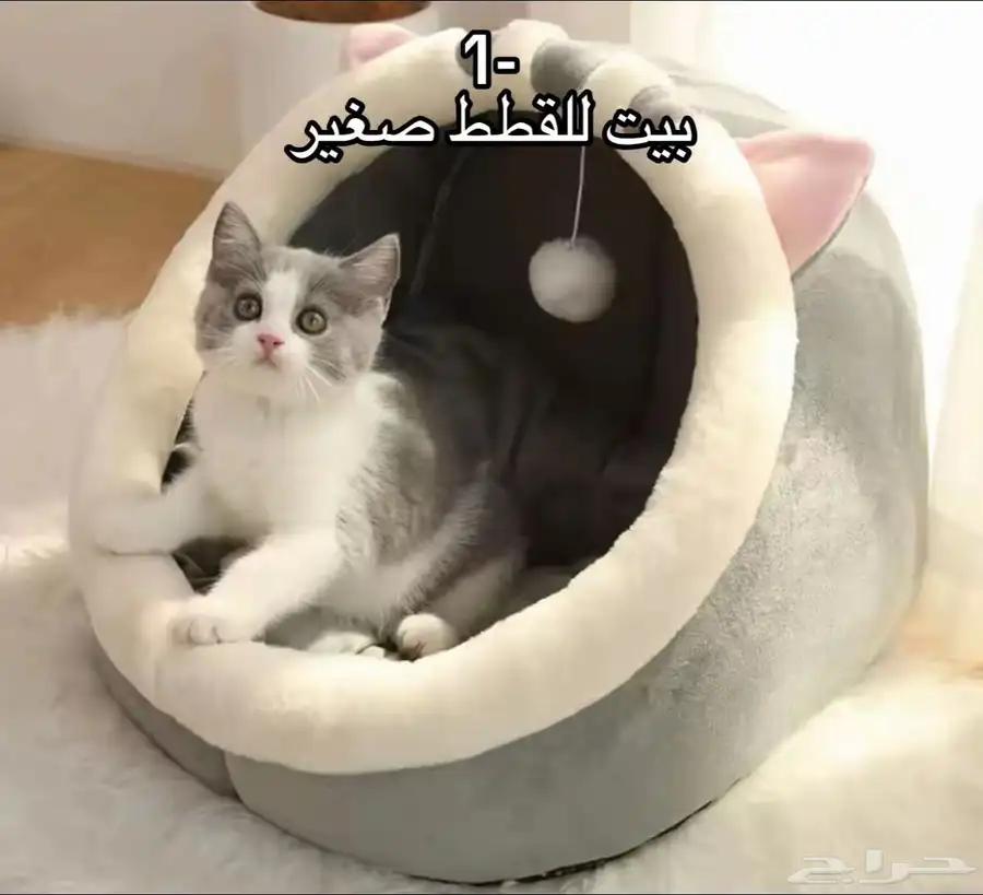 بكج القطط سعر جملة توصيل مجاني الى جميع مناطق المملكة 1