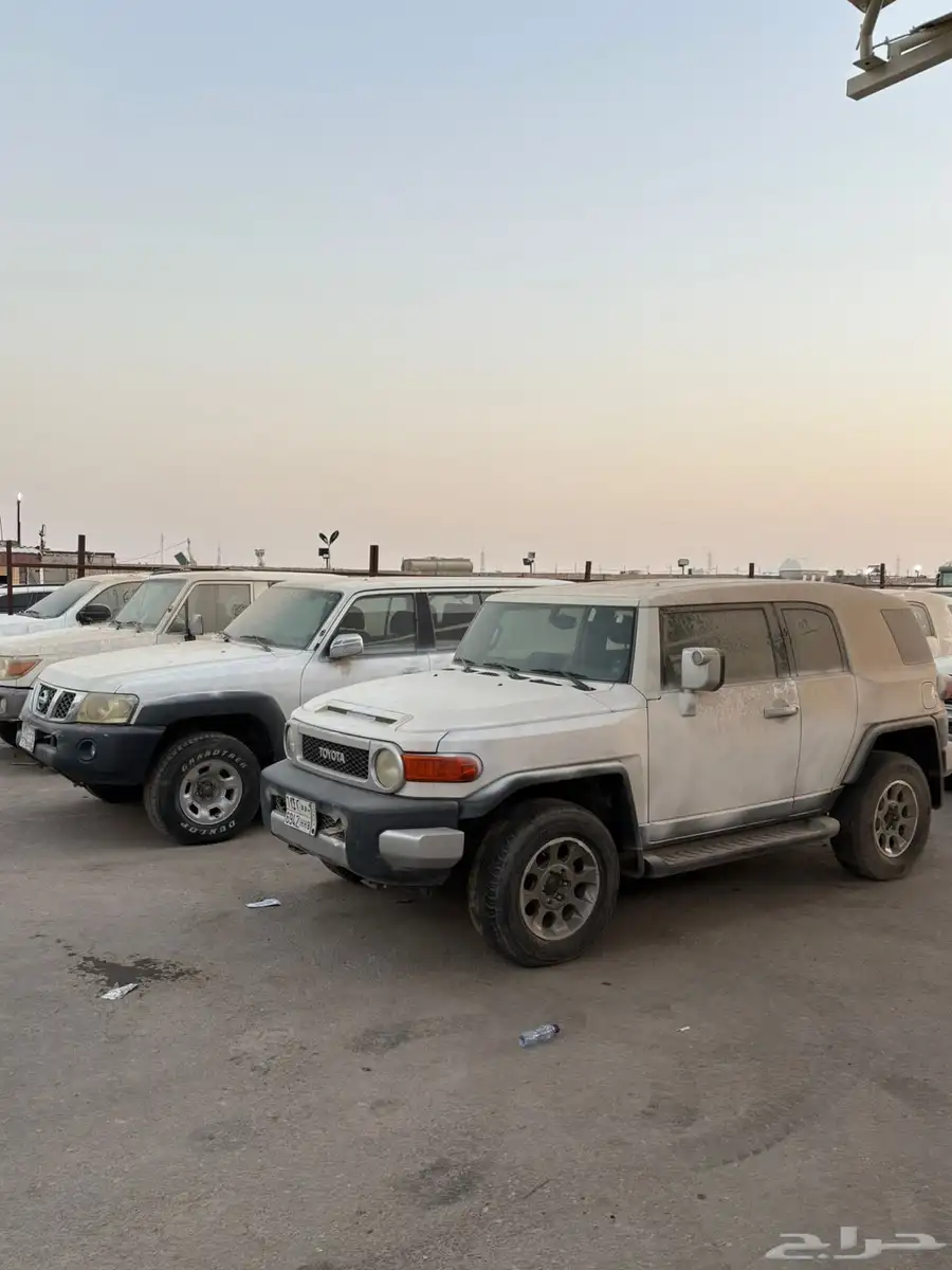 ربع عدد كبير من جيب الربع مبيعات حكوميه 14