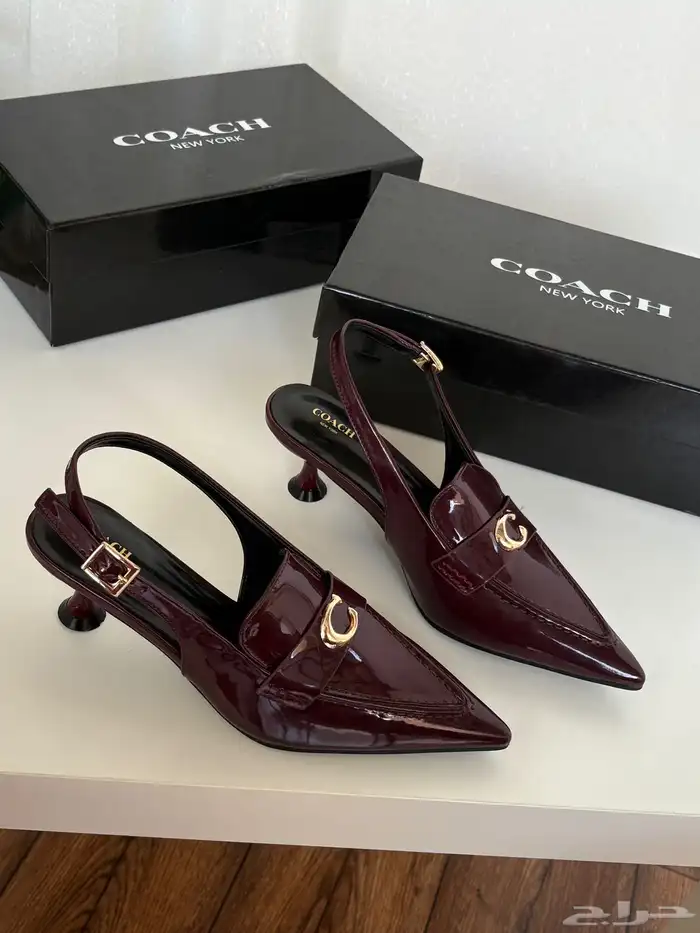 هيلزات توري بورش وقوتشي 12