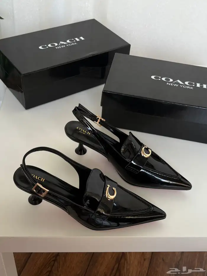 هيلزات توري بورش وقوتشي 0