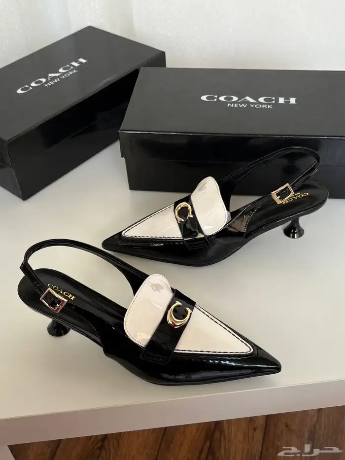 هيلزات توري بورش وقوتشي 15