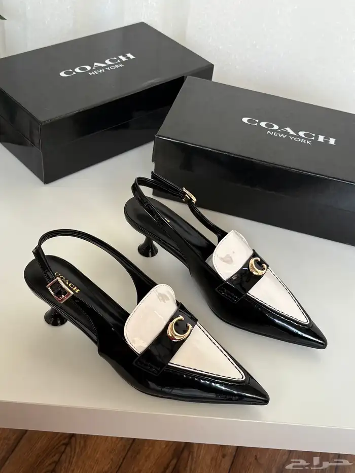 هيلزات توري بورش وقوتشي 18