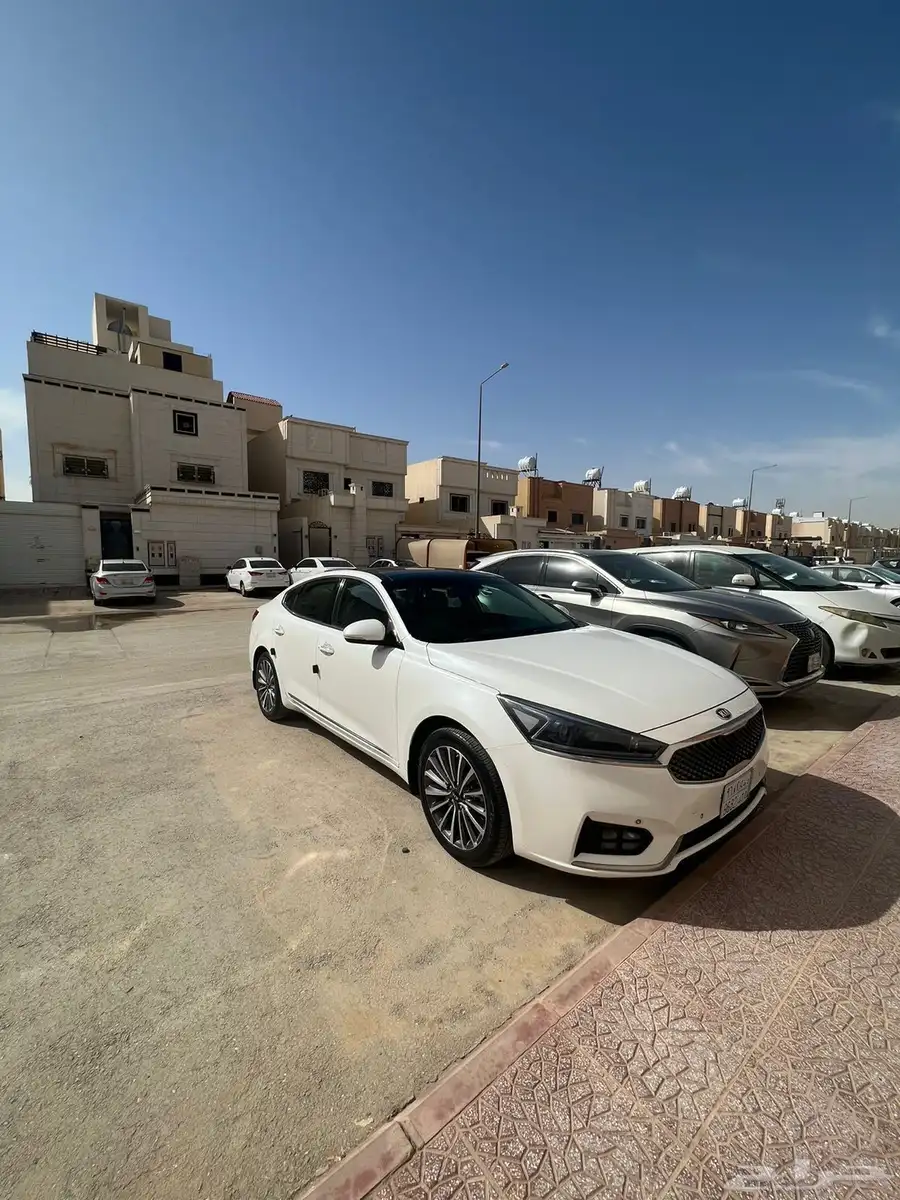 كادينزا 2019 نظيف للبيع 5