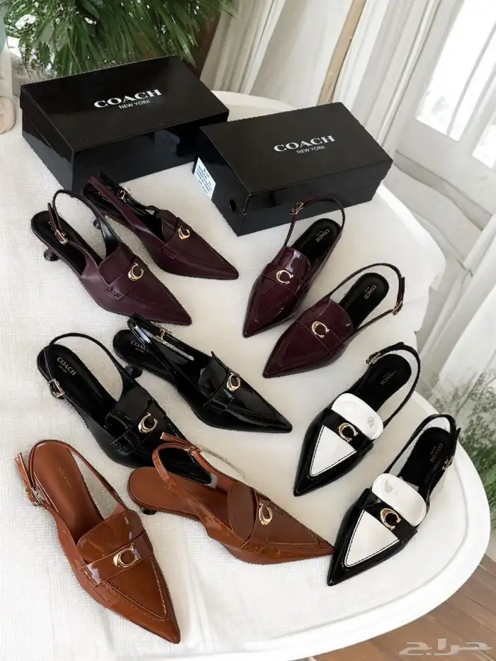 هيلزات توري بورش وقوتشي 4