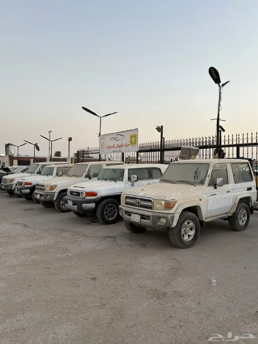 ربع عدد كبير من جيب الربع مبيعات حكوميه 20