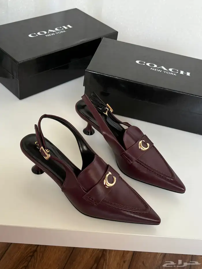 هيلزات توري بورش وقوتشي 16