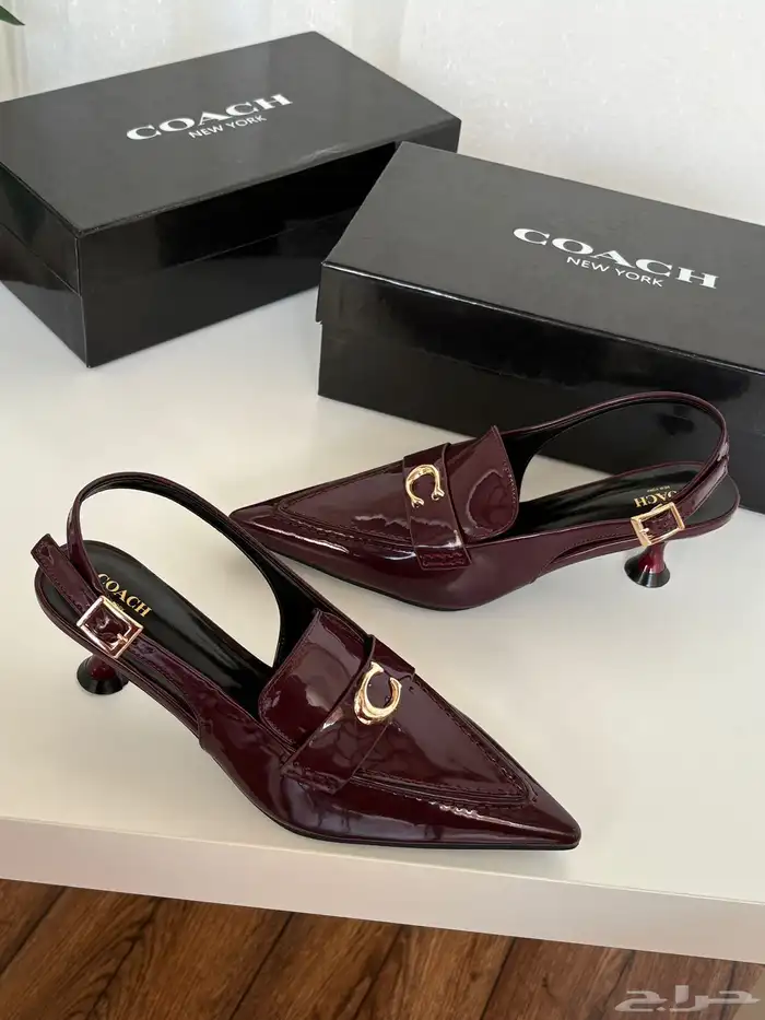 هيلزات توري بورش وقوتشي 1