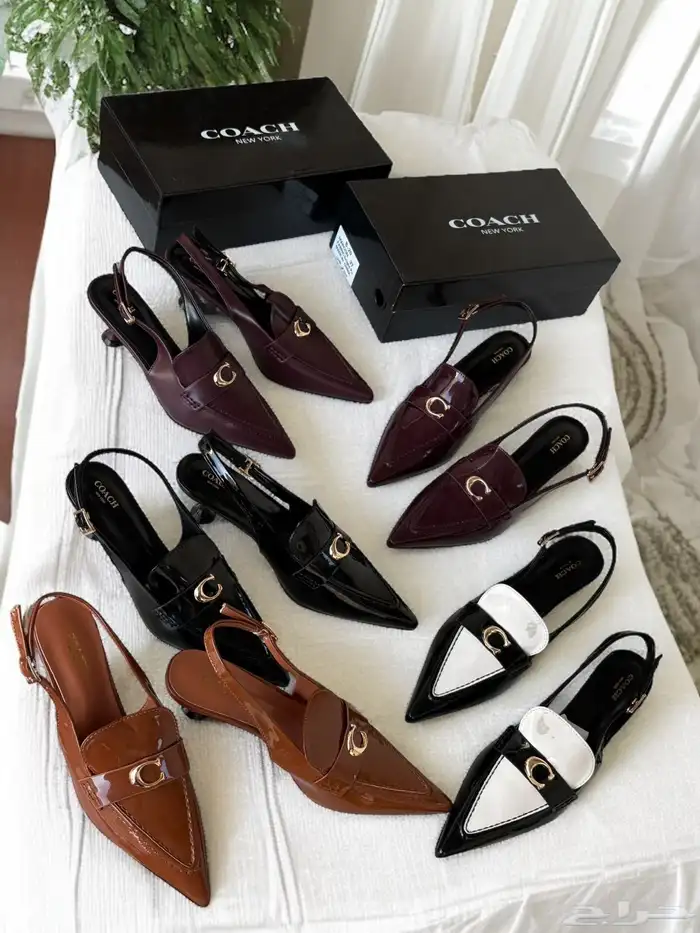 هيلزات توري بورش وقوتشي 5