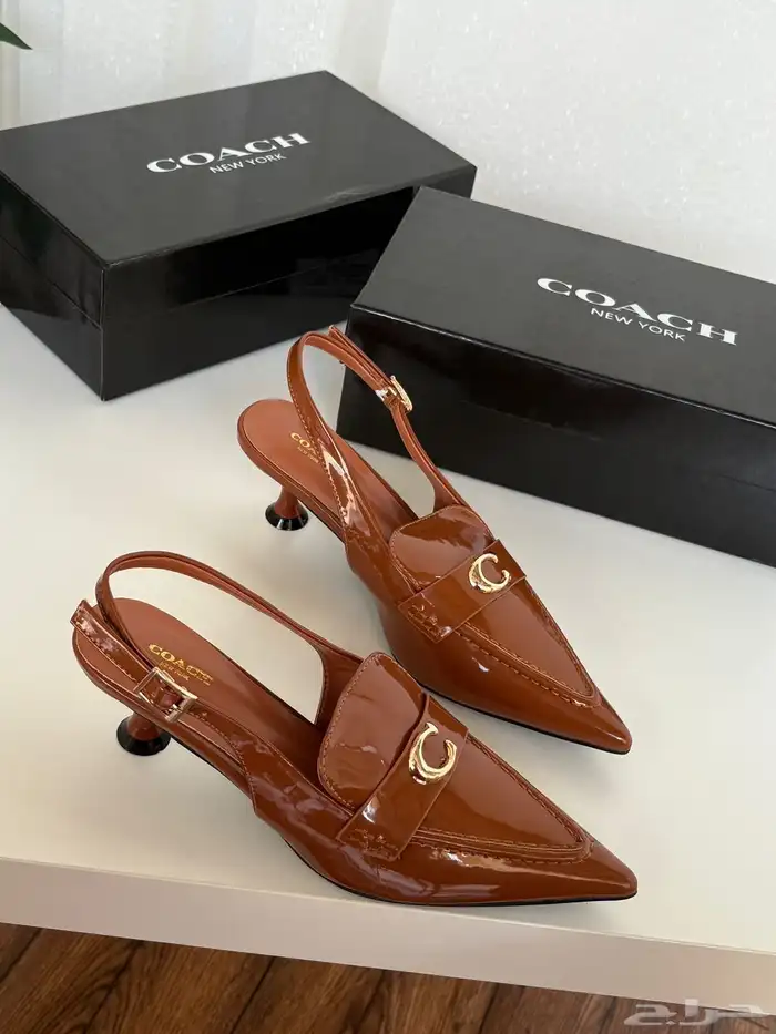 هيلزات توري بورش وقوتشي 14