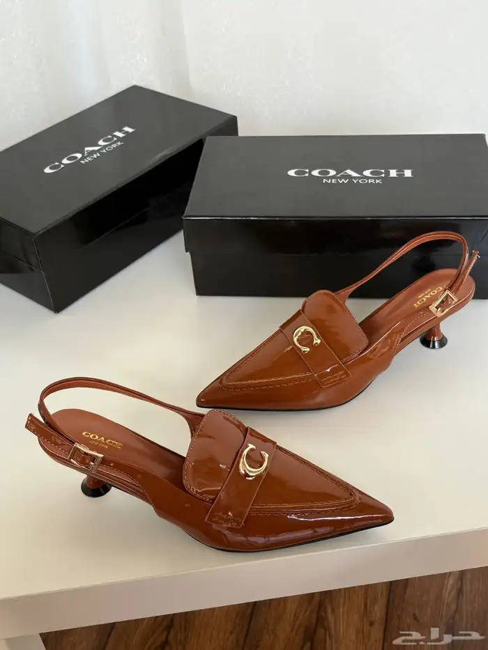 هيلزات توري بورش وقوتشي 19