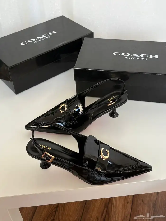 هيلزات توري بورش وقوتشي 13